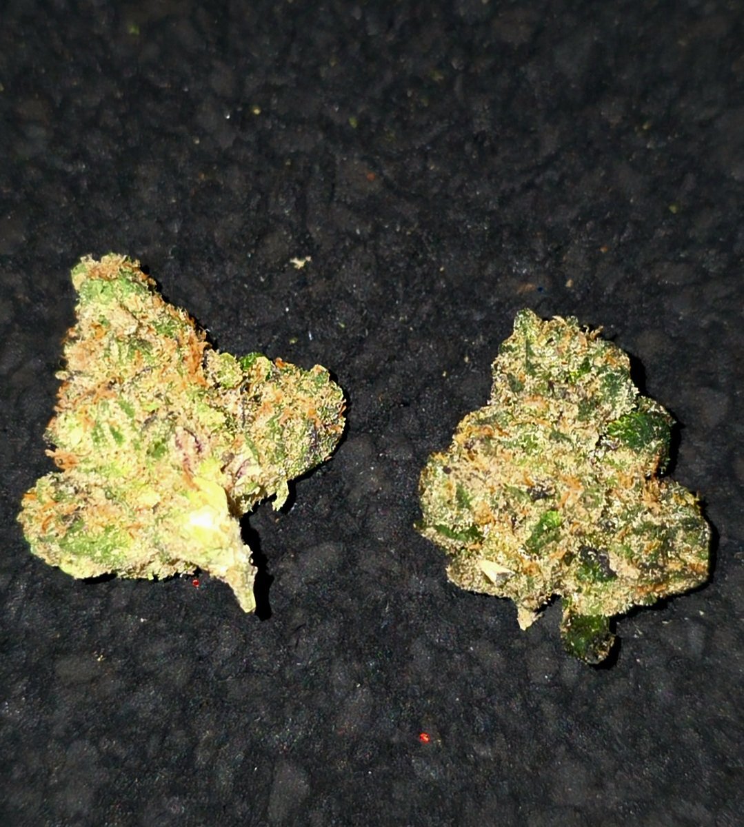 Kshqueen111 tweet media