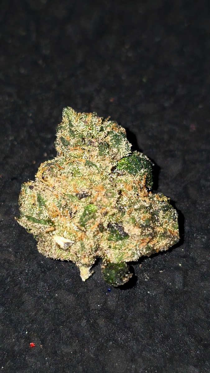 Kshqueen111 tweet media