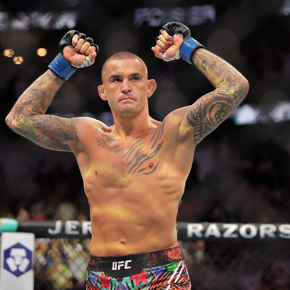 فنون القتال بالعربية tweet media