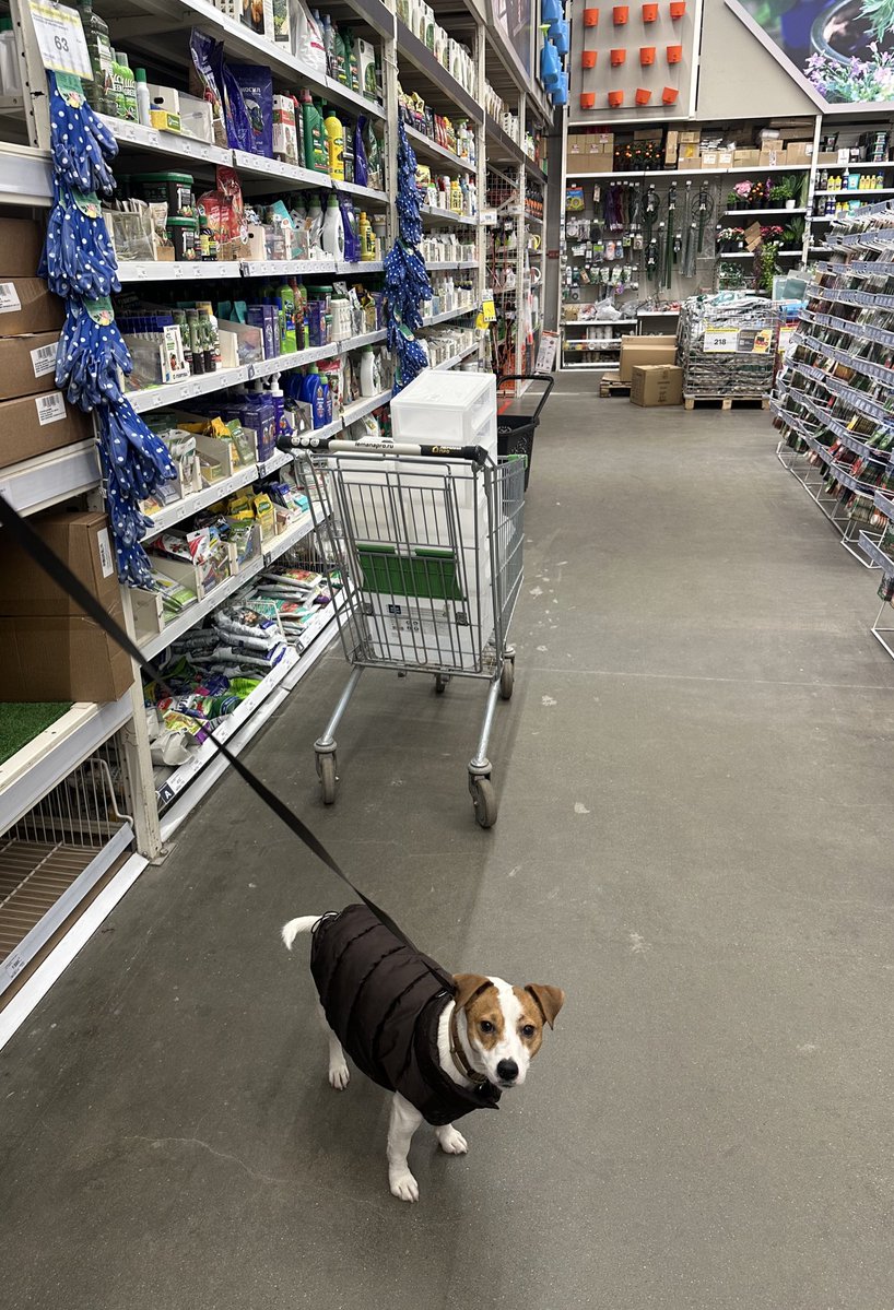 Tima Ficus tweet media