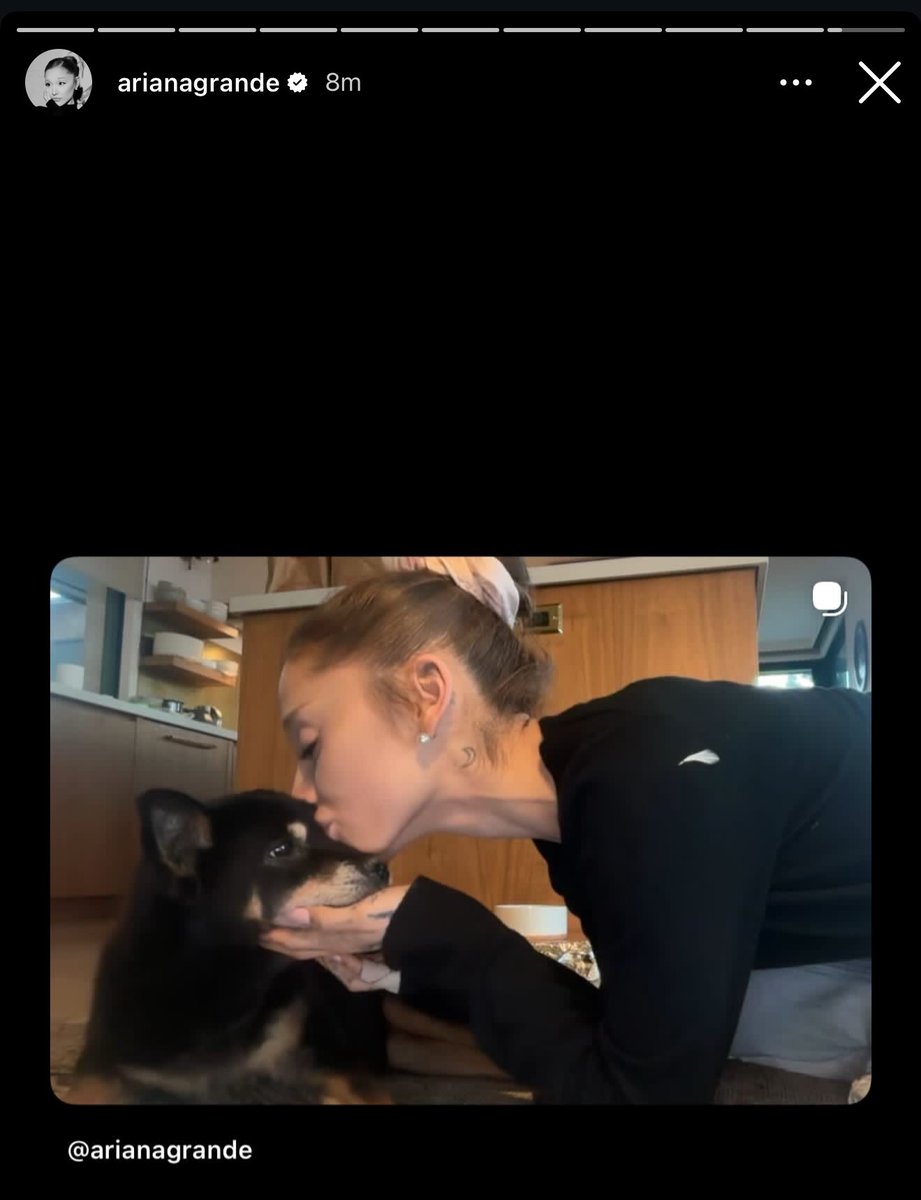 allen 🌙 tweet media