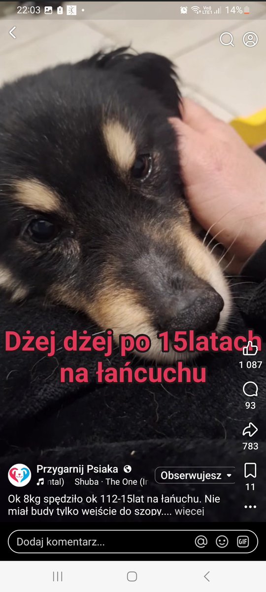 PiPi 💅 #silnaosobno tweet media