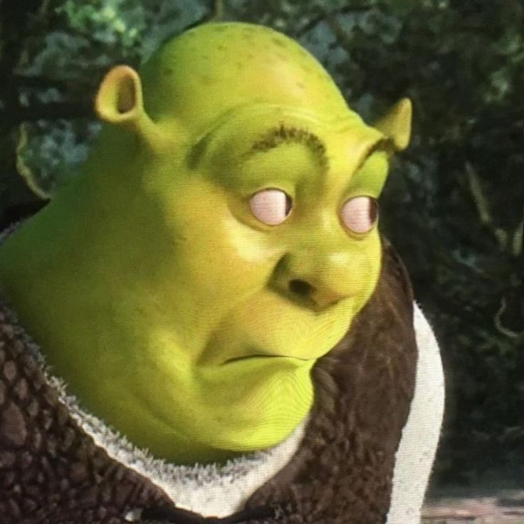 Abhay Chaudhary 🇮🇳 tweet media