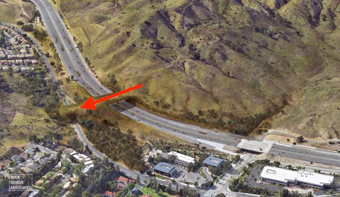 Christopher F. Rufo ⚔️ tweet media