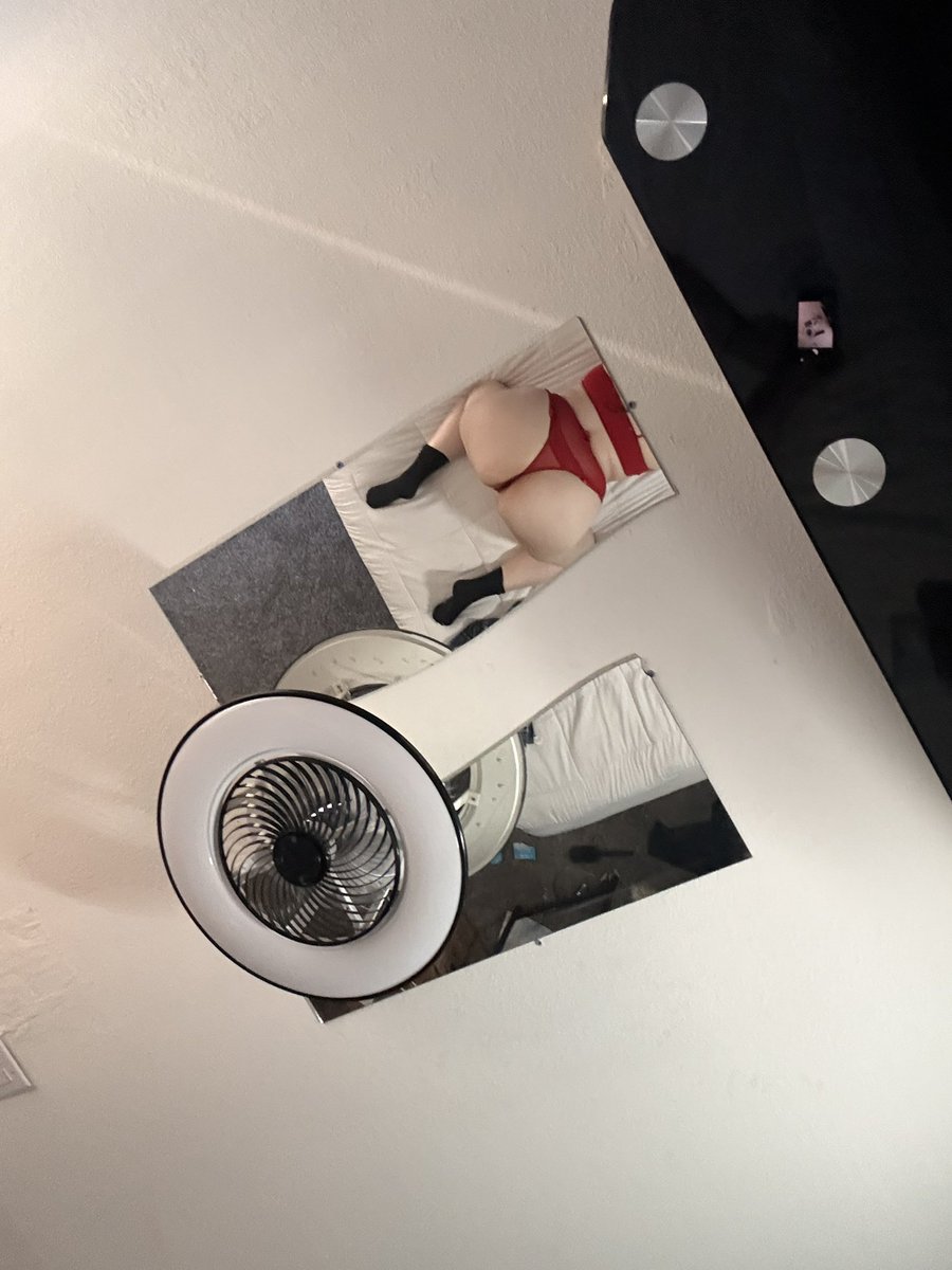 HnyBeeStickyIcky🍯🐝 tweet media