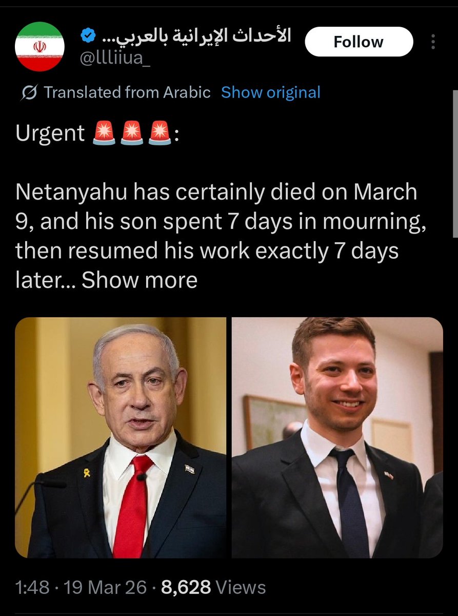 The Search tweet media