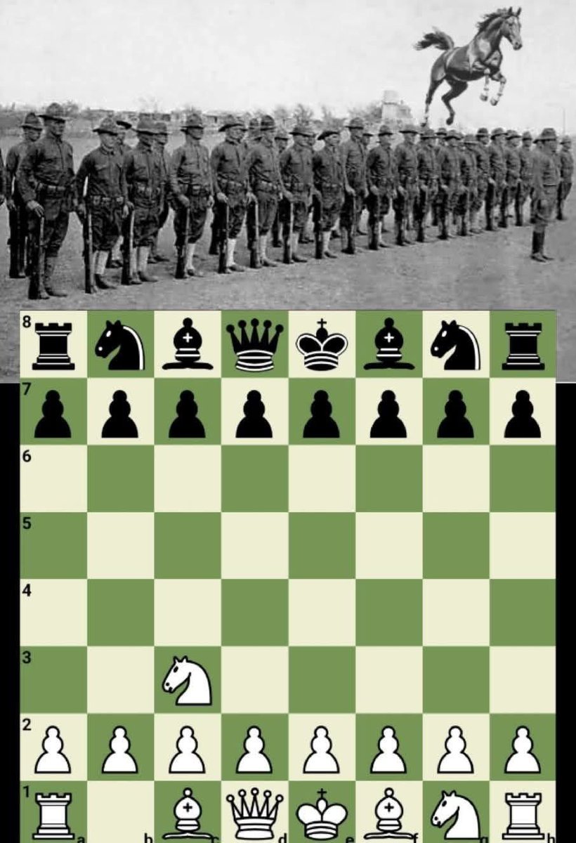 Chess Master tweet media