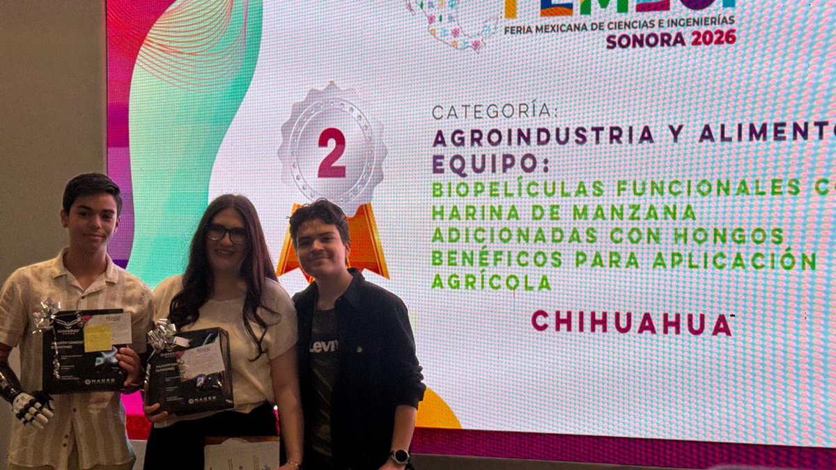 Secretaría de Innovación y Desarrollo Económico tweet media