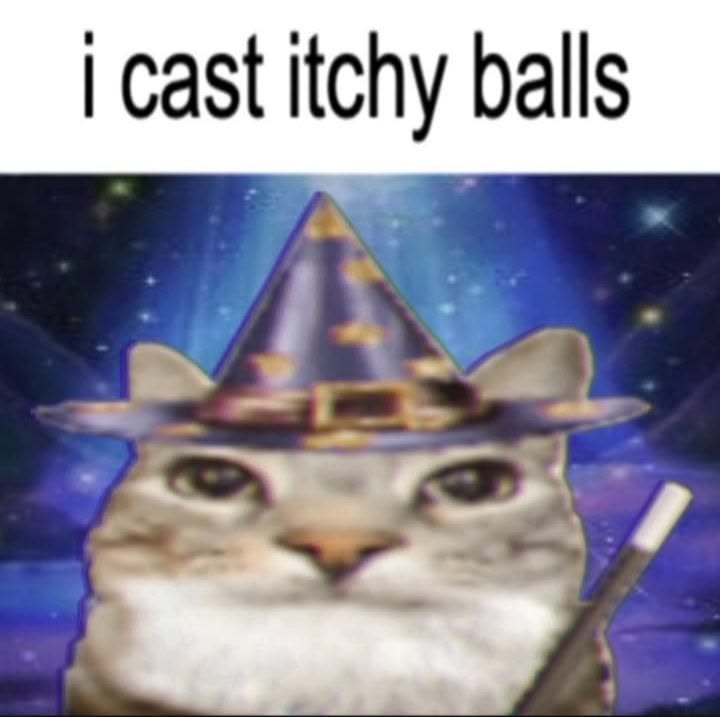 𝙷𝙰𝚁𝚁𝚈. tweet media