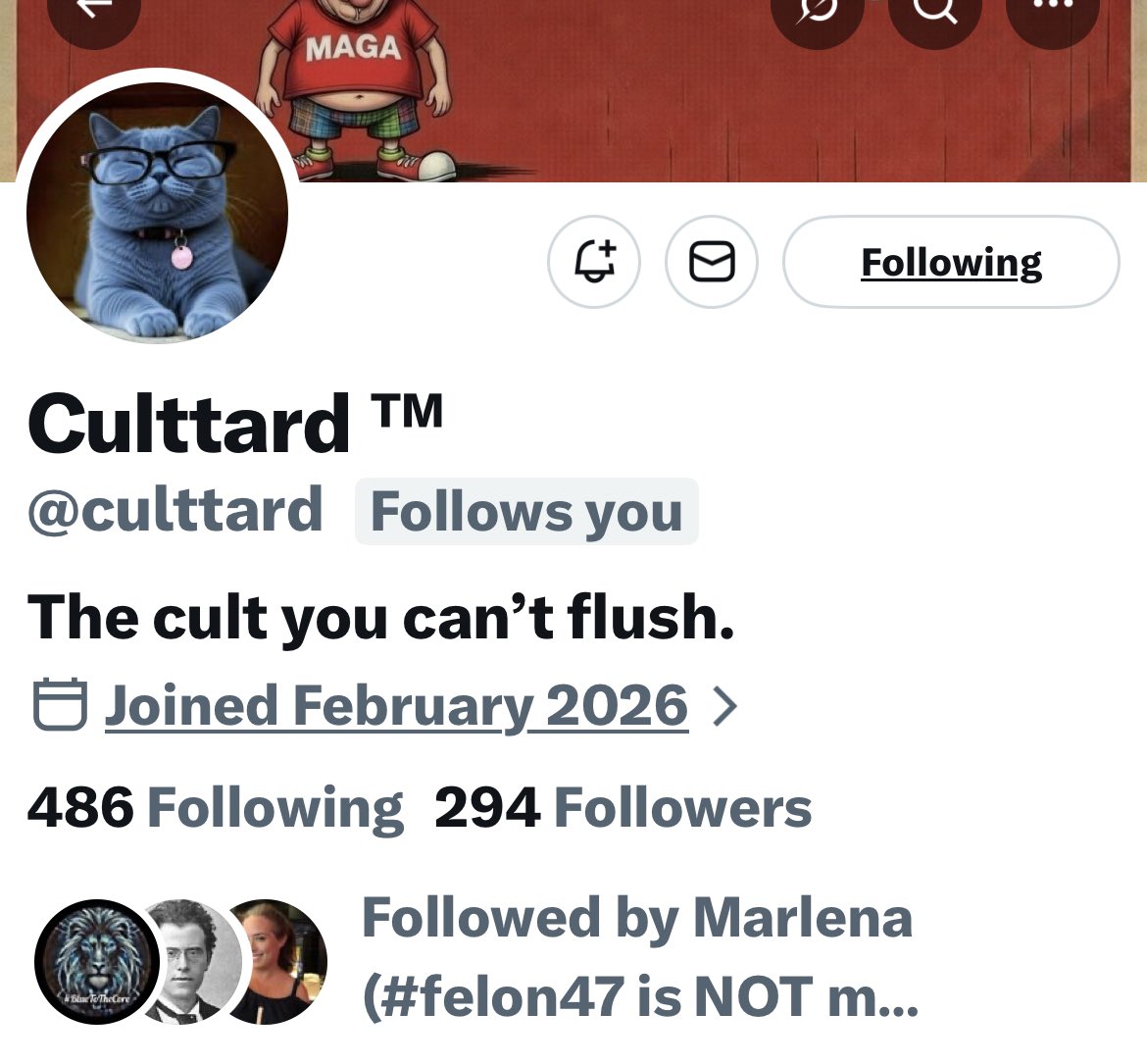 Turquoise Cat tweet media