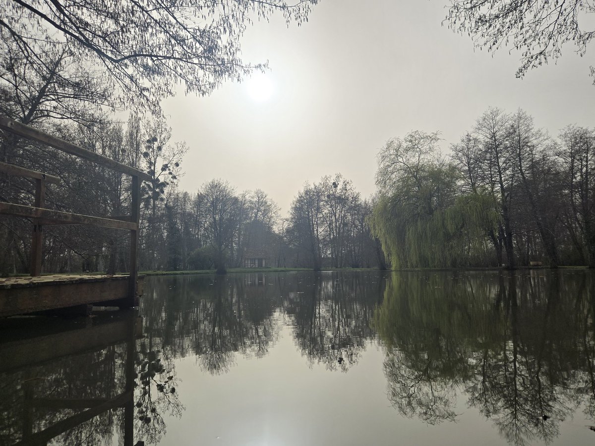 alexine 🏴‍☠️ tweet media