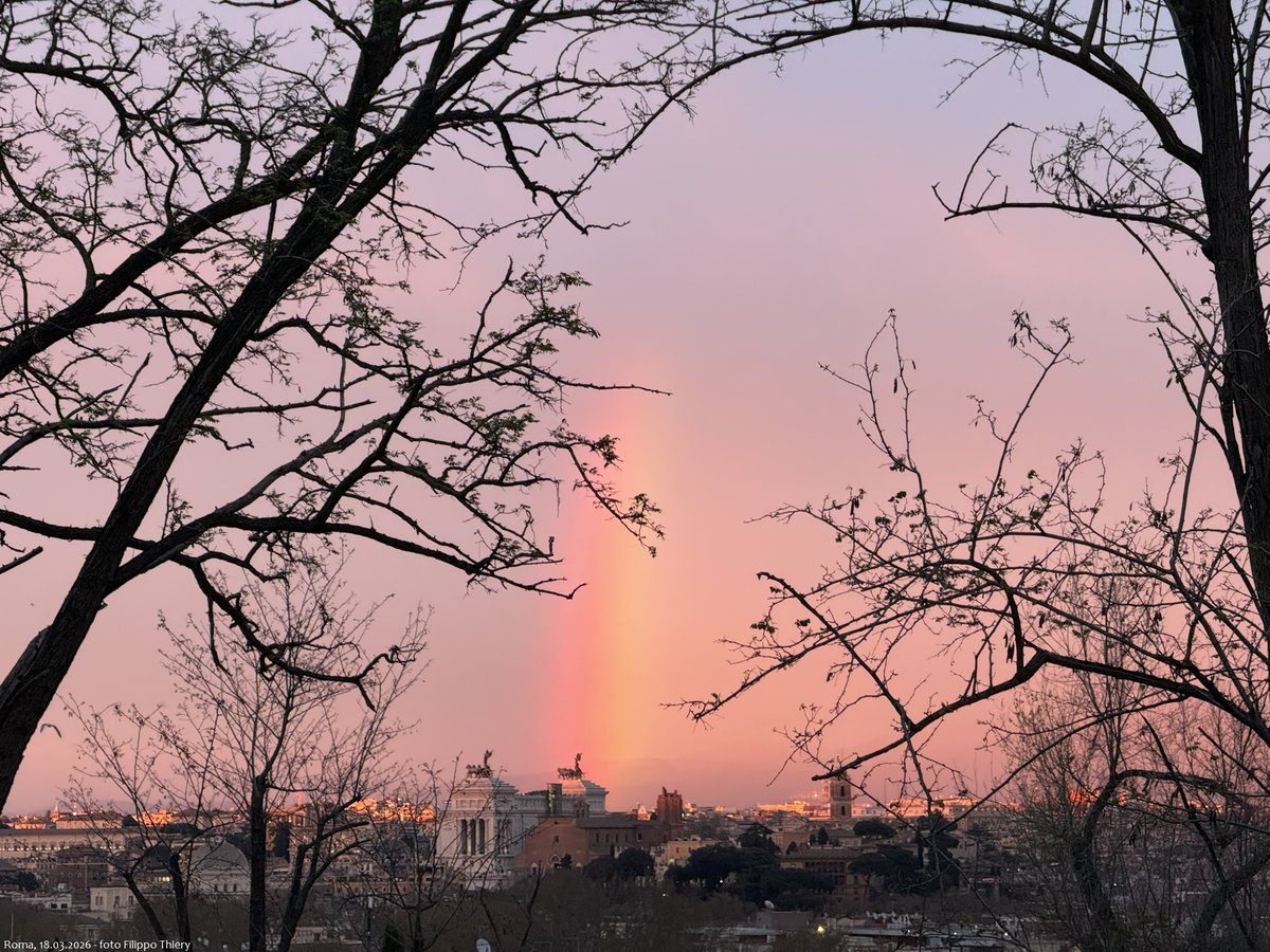 Filippo Thiery tweet media