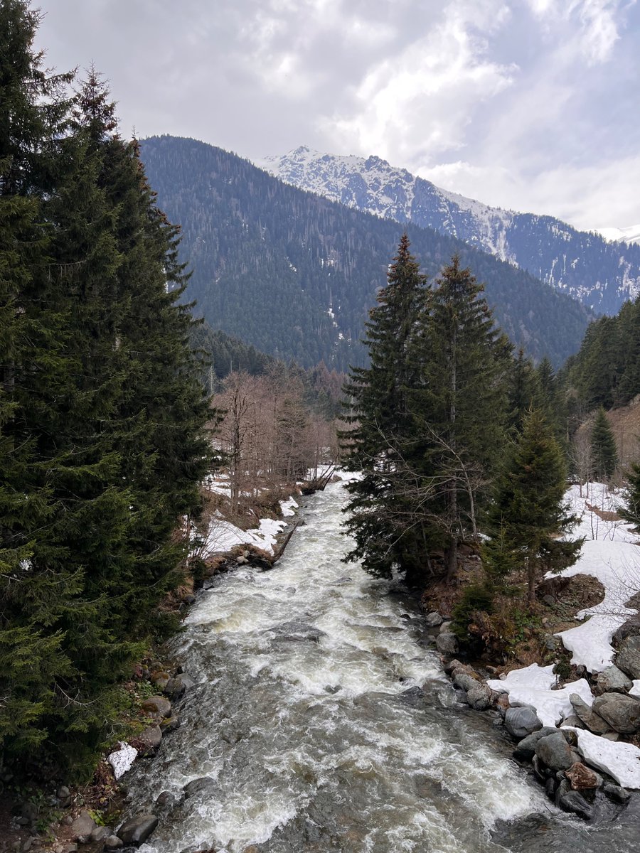Ömer Selçuk Cihan tweet media