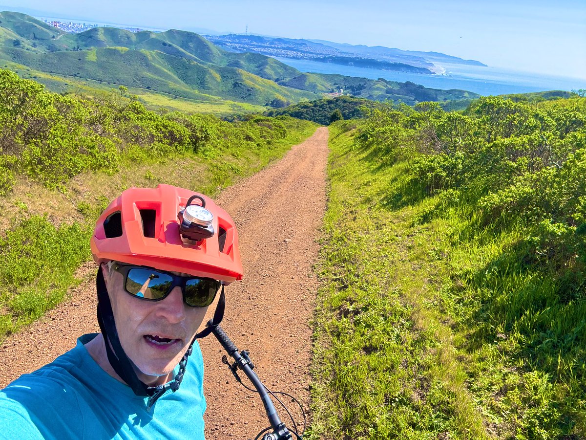 Tom Martin tweet media