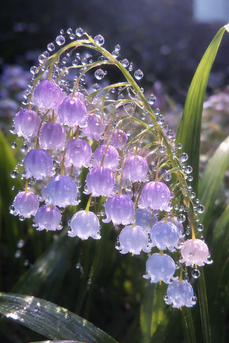 ๐บ๐๐๐๐๐๐ tweet media