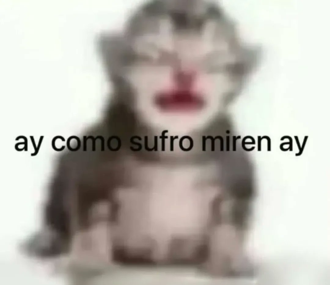 jugodenaranja9 tweet media