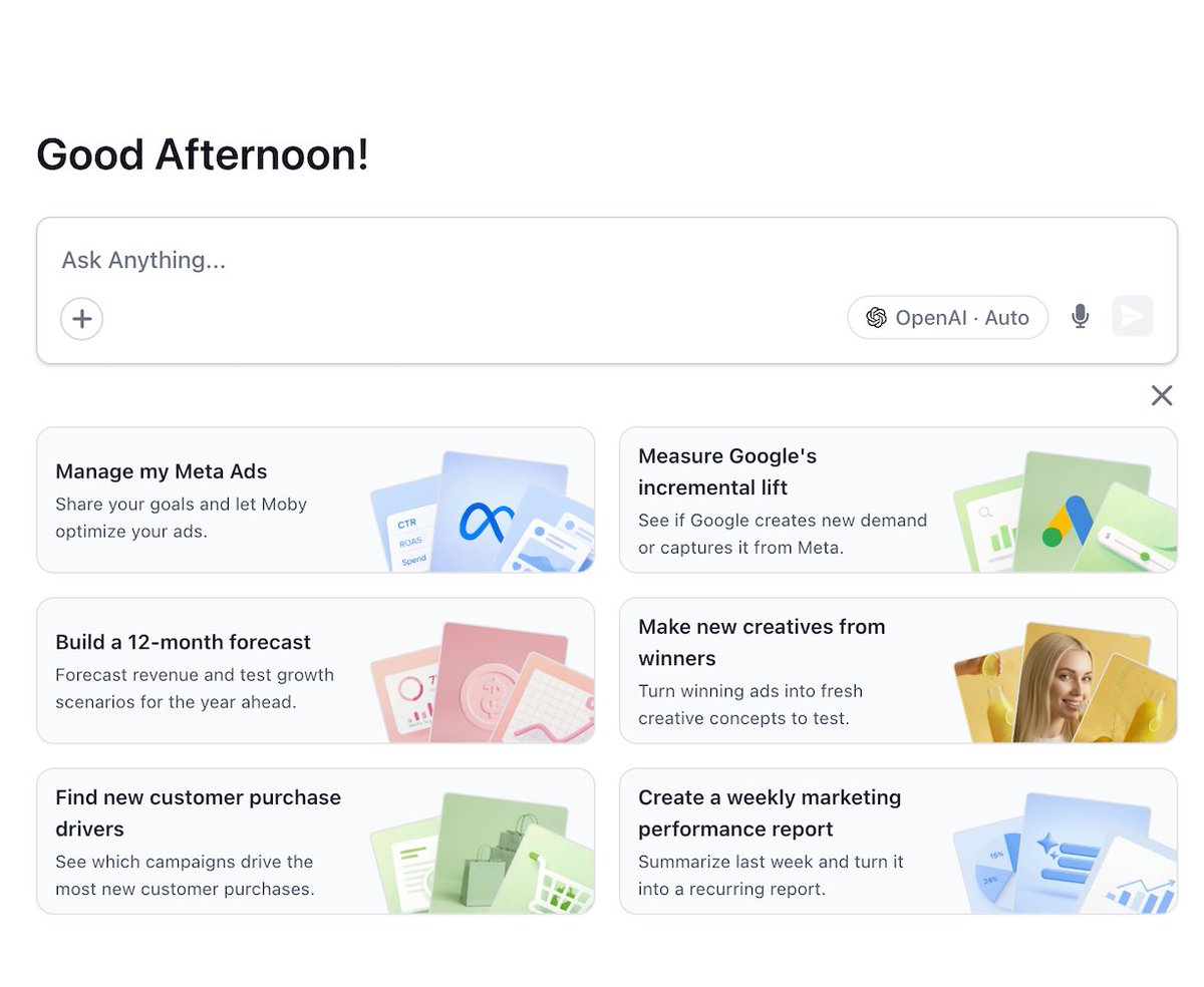 Maxx Blank 🐳 tweet media