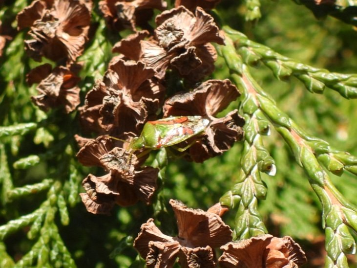 Mark Clements tweet media