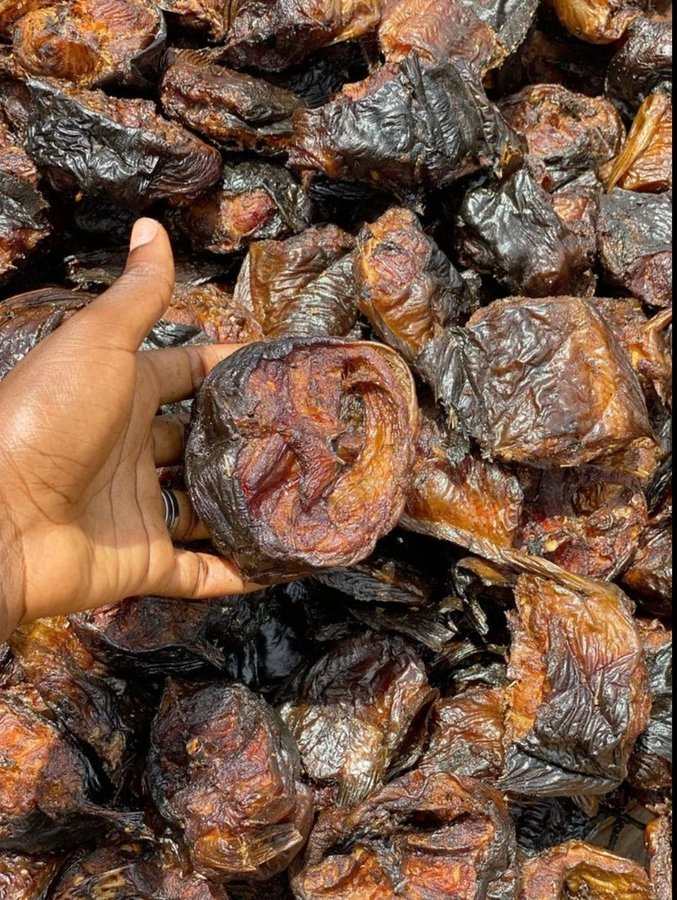 toshine🇨🇦 tweet media