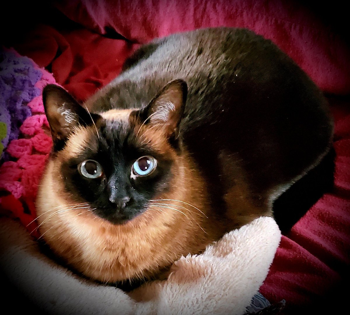 Barbara Medina tweet media