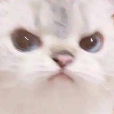 Vara 💎 tweet media