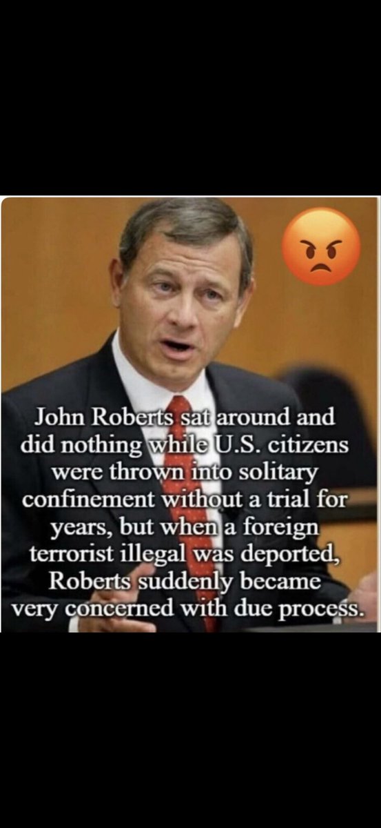 Primrose tweet media