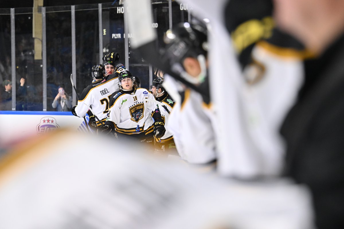 Panthers Images tweet media