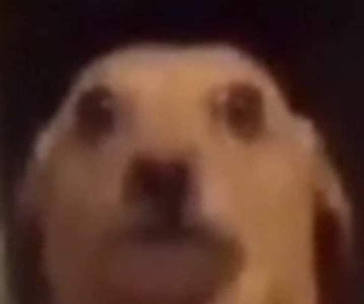 🍓AleeX 🍓 tweet media