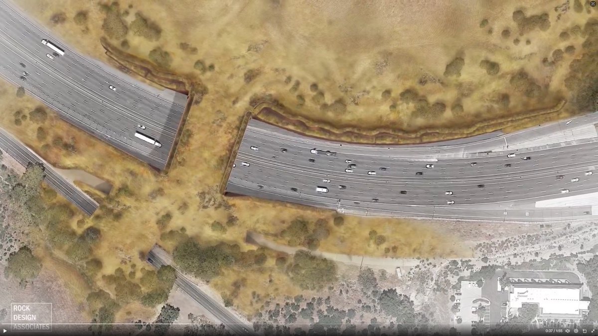 Mann Made Cinema tweet media