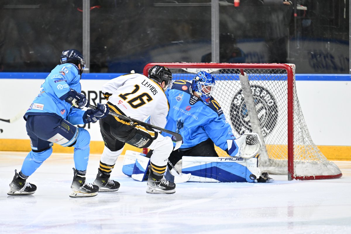 Panthers Images tweet media