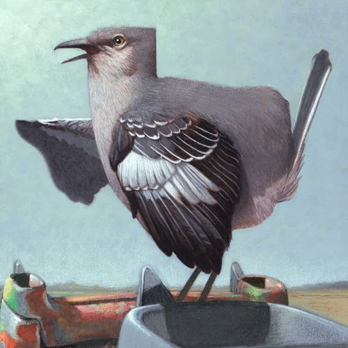 MommyDopha tweet media