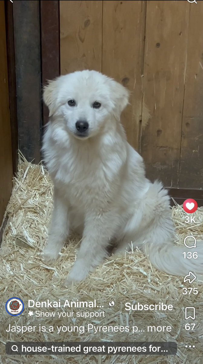 RevaliTheBerner tweet media