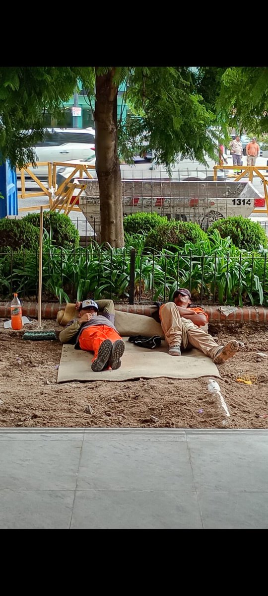 Daniel Romano tweet media