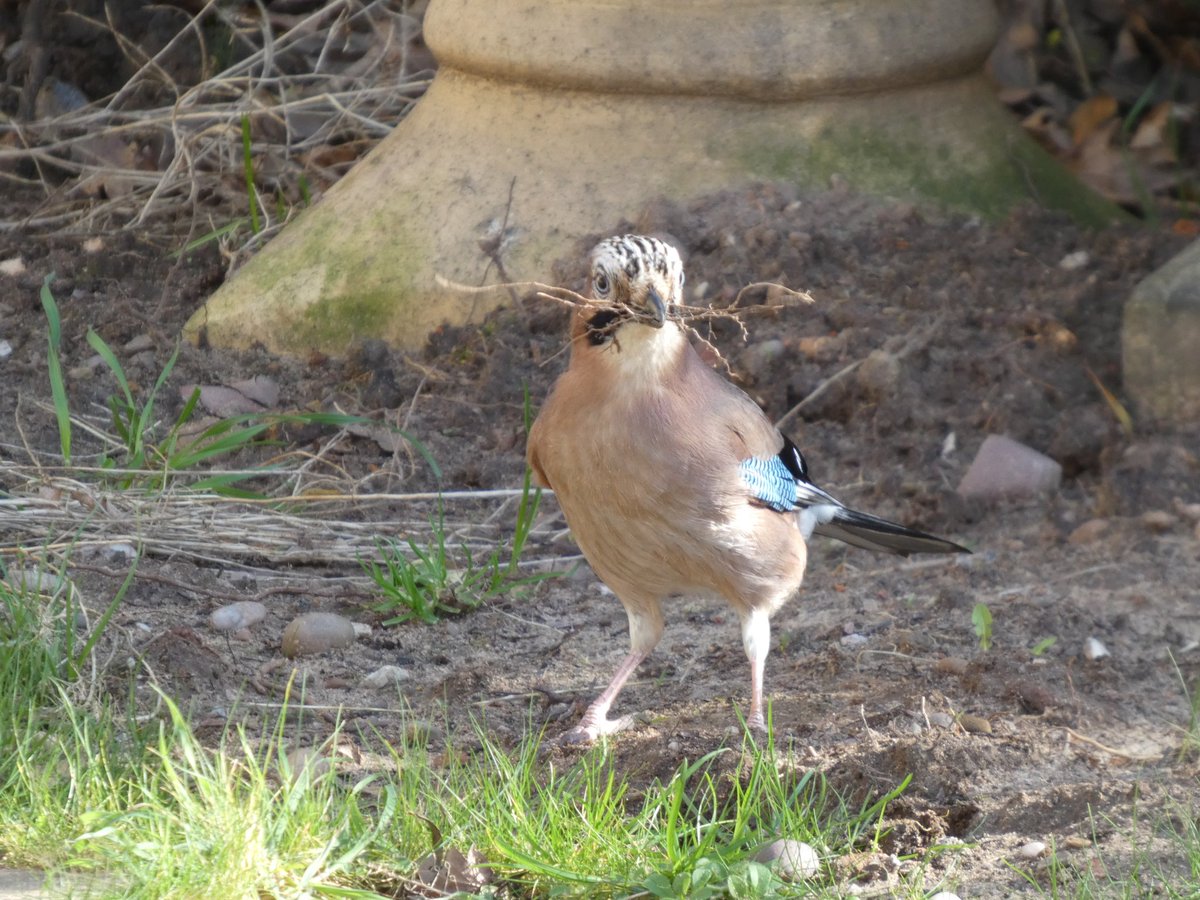 Sartorial Thug 🍸 tweet media