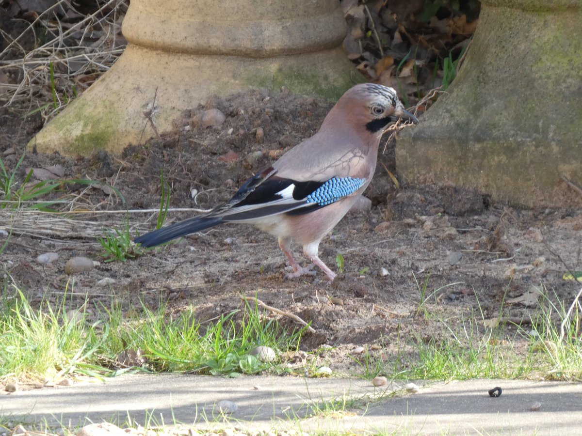 Sartorial Thug 🍸 tweet media