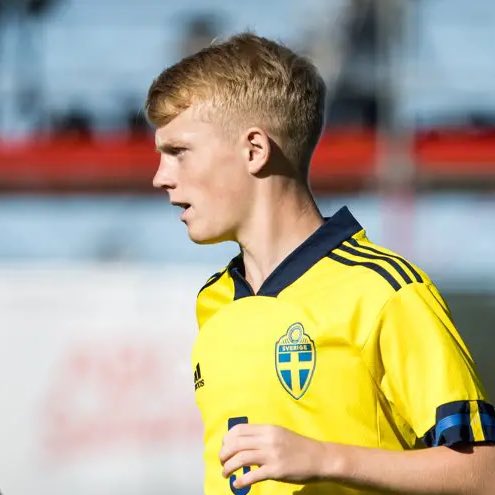 𝐄𝐥𝐟𝐬𝐛𝐨𝐫𝐠 𝐃𝐚𝐢𝐥𝐲 𝕩 tweet media