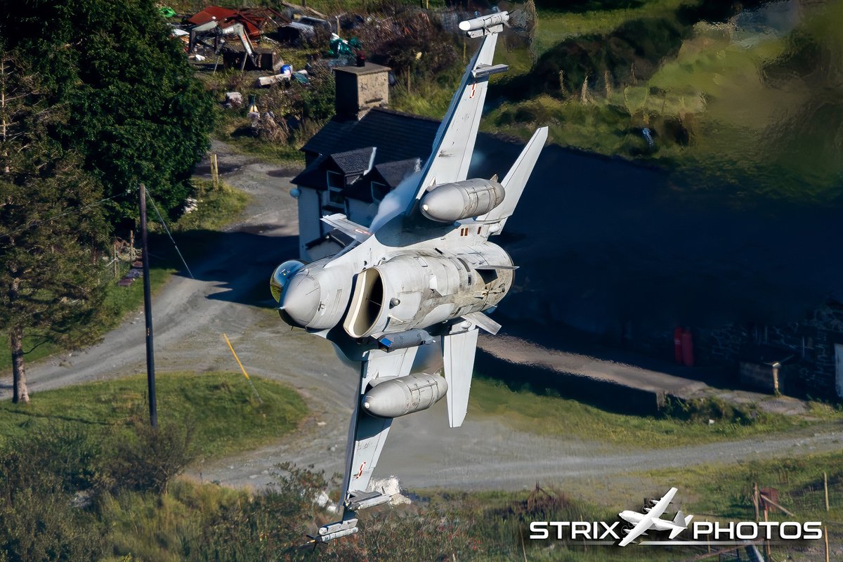 Strix Photos tweet media