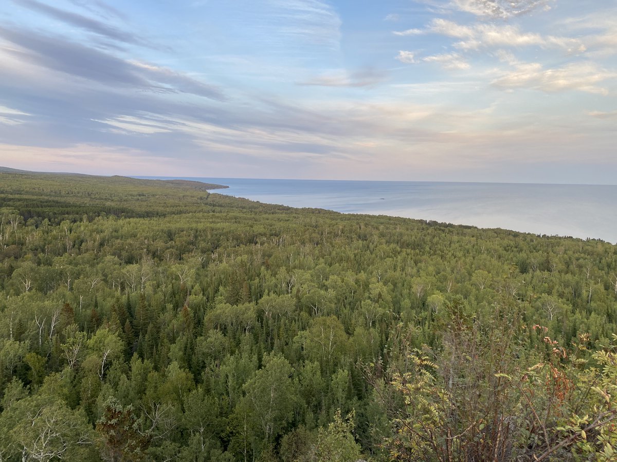 SuperiorNF tweet media