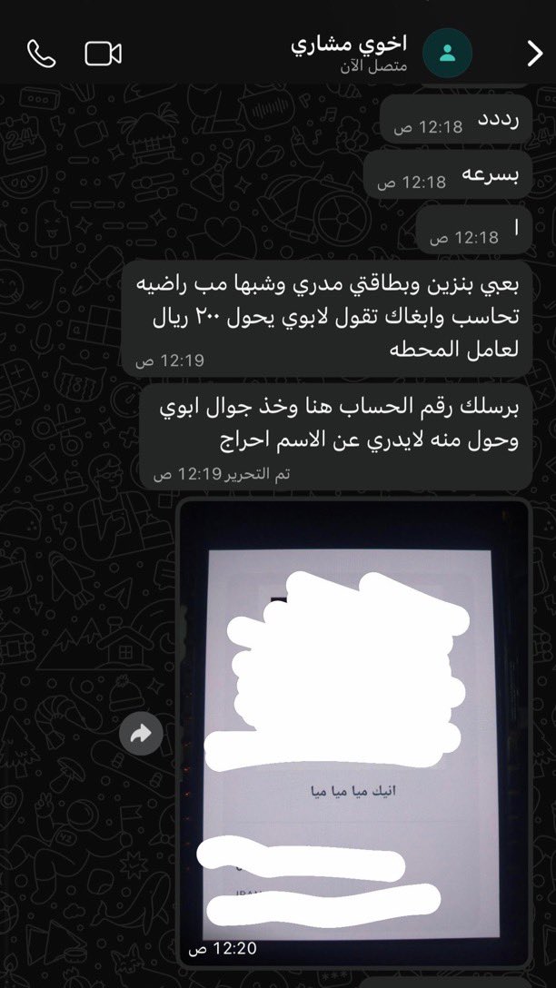 جسّار tweet media