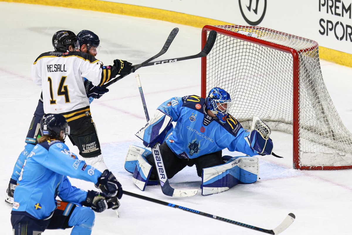 Panthers Images tweet media