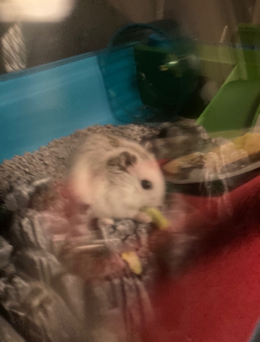 Siggs🇳🇴🏳️🌈 tweet media