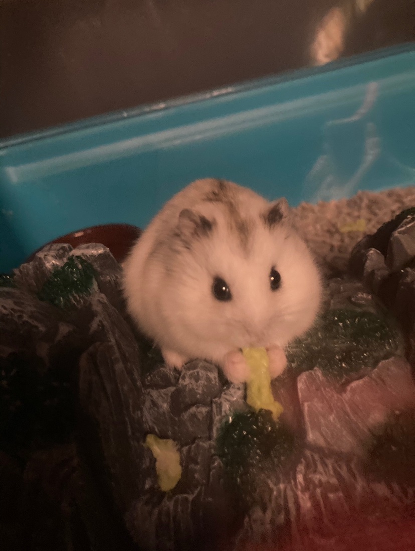 Siggs🇳🇴🏳️🌈 tweet media