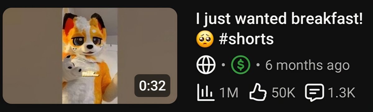 CorgiCam tweet media