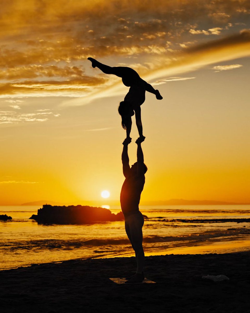 MacGillivray Freeman tweet media