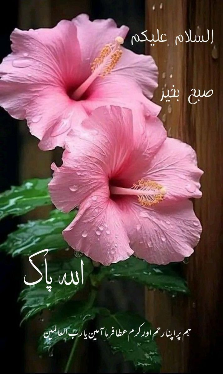 اسلام علیکم و رحمۃ اللّٰہ 
میرے پیارے دوستو عید الفطر قریب ھے اپنے اردگرد کے سفید پوش لوگوں کو ضرور یاد رکھنا خاص کر یتیم بچوں کی یاد ھے نا ھمارے نبی کریم عید کی نماز پڑھ کر تشریف لاتے تھے ایک یتیم بچا ملا اسے گود میں اٹھا لیا اور پورا دن کیسے اس کے ساتھ گزارا خوش رھیں سلامت رھیں