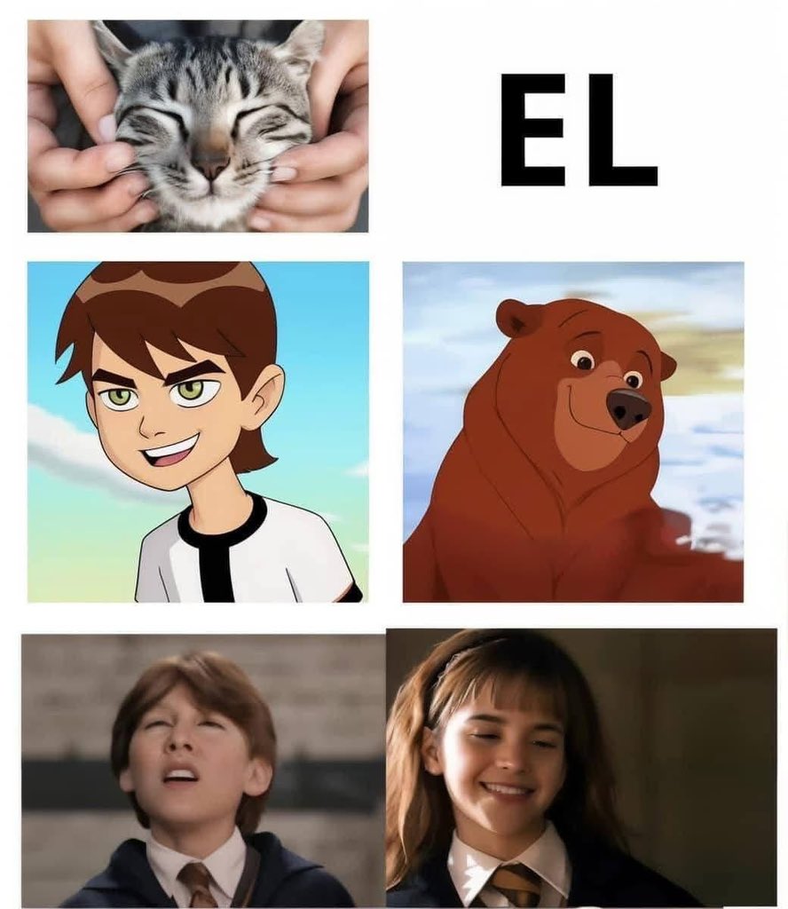 Diego Royet tweet media