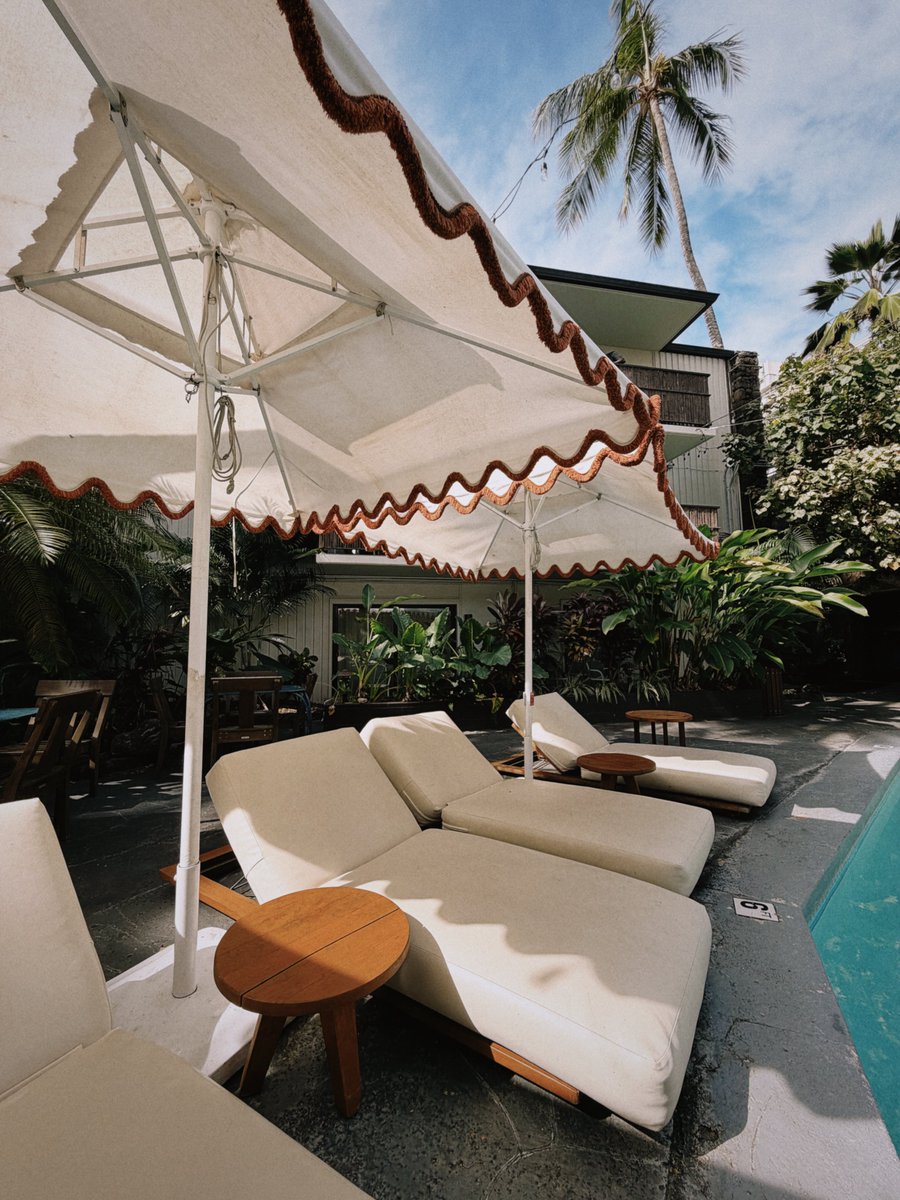 Van | UGC Creator & Creative Strategist tweet media