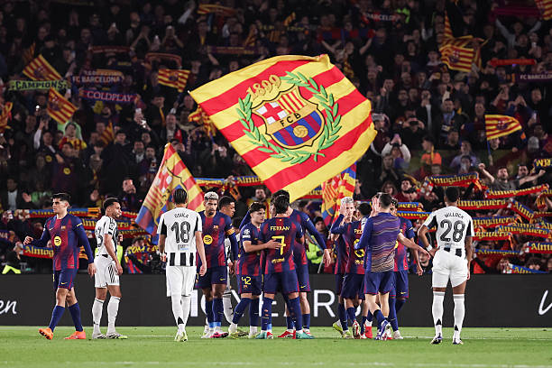 Cat_grada tweet media