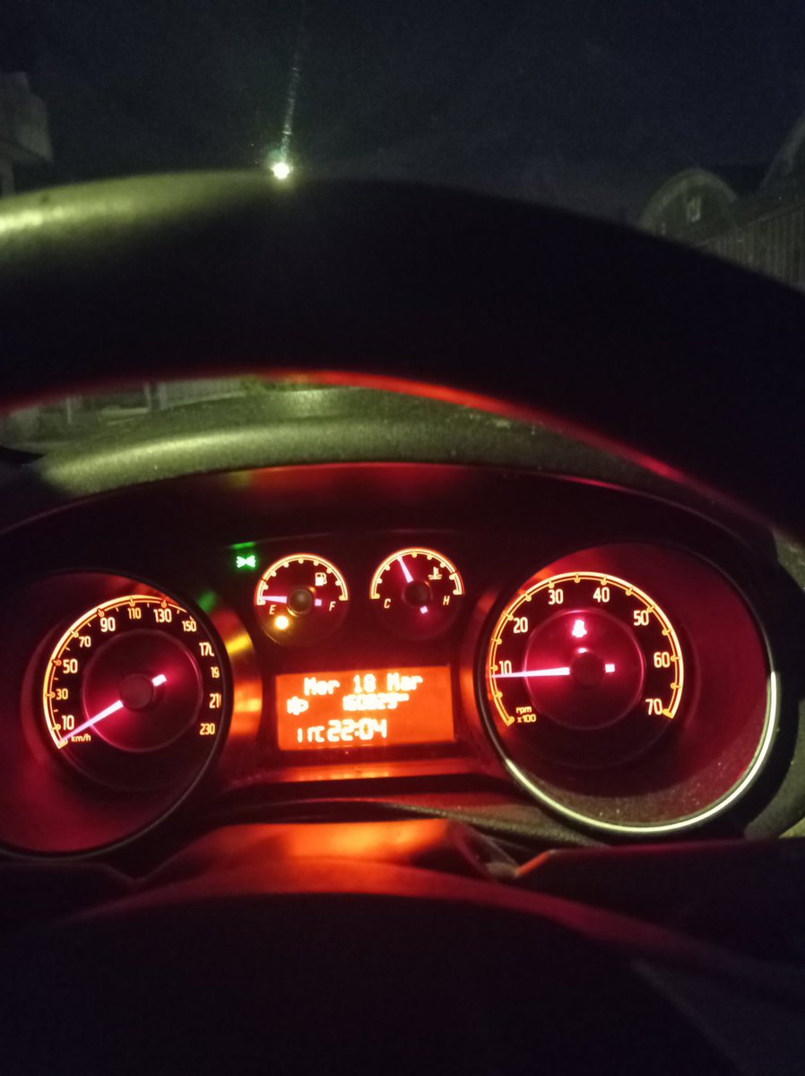 MarziaGuerrucci 🇨🇦 tweet media