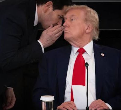 Le ₿unker 🪖 tweet media